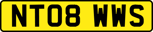 NT08WWS