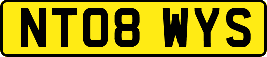 NT08WYS