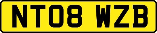 NT08WZB