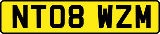 NT08WZM
