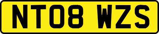 NT08WZS