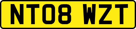 NT08WZT