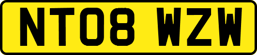 NT08WZW