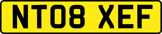 NT08XEF