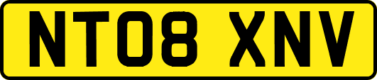 NT08XNV