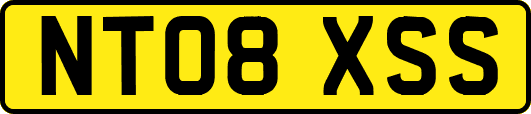 NT08XSS