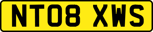 NT08XWS