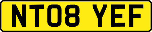 NT08YEF