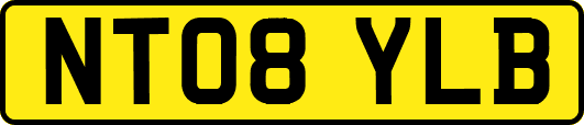 NT08YLB