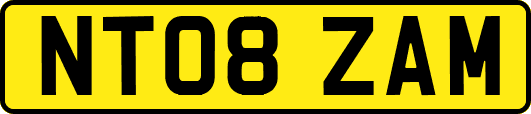 NT08ZAM