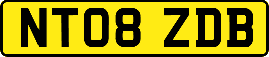 NT08ZDB