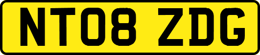 NT08ZDG