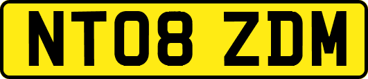 NT08ZDM
