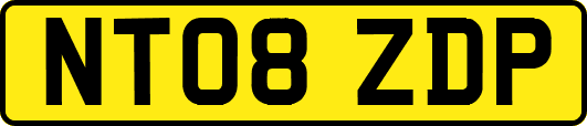 NT08ZDP