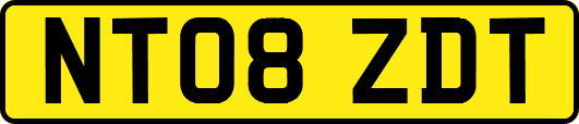 NT08ZDT