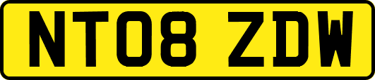 NT08ZDW