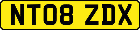 NT08ZDX