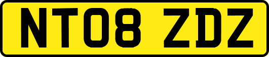NT08ZDZ