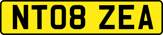 NT08ZEA