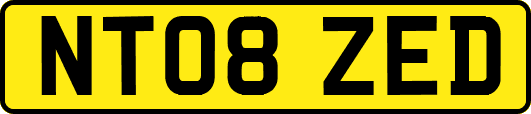 NT08ZED