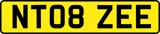 NT08ZEE