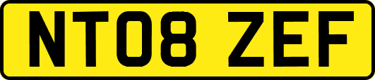 NT08ZEF