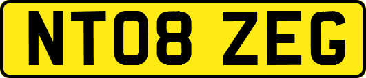 NT08ZEG