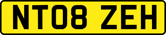 NT08ZEH