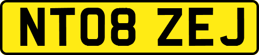 NT08ZEJ