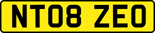 NT08ZEO
