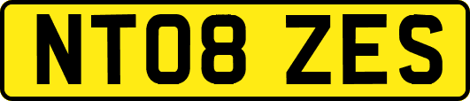 NT08ZES