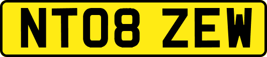 NT08ZEW