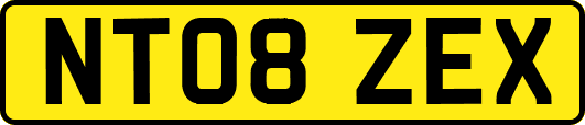 NT08ZEX