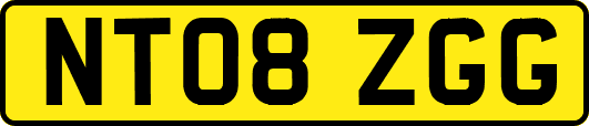 NT08ZGG
