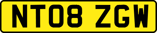 NT08ZGW