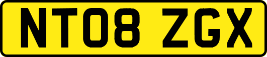 NT08ZGX