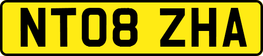 NT08ZHA