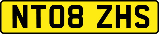 NT08ZHS