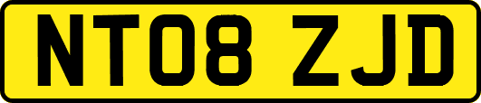 NT08ZJD
