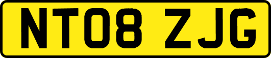 NT08ZJG