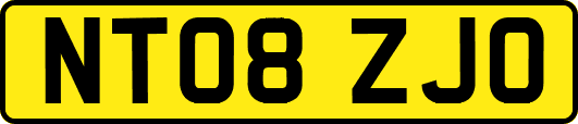 NT08ZJO