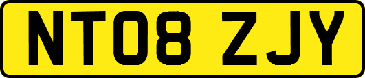 NT08ZJY