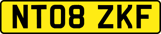 NT08ZKF