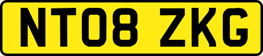 NT08ZKG