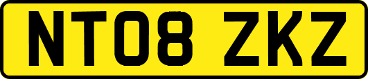 NT08ZKZ