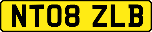 NT08ZLB