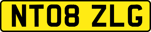 NT08ZLG