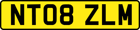 NT08ZLM