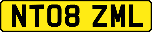 NT08ZML