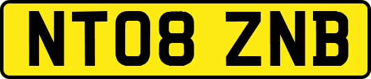 NT08ZNB